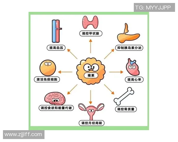 哈利伯顿康复Vlog分享变瘦历程揭示激素影响下的减重之路 哈利伯顿康复Vlog分享变瘦历程揭示激素影响下的减重之路