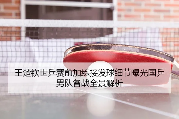 王楚钦世乒赛前加练接发球细节曝光国乒男队备战全景解析