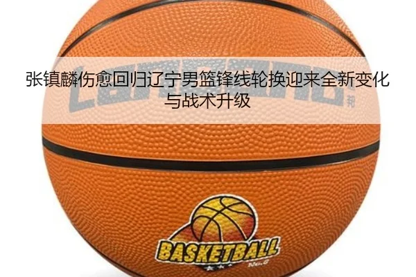 张镇麟伤愈回归辽宁男篮锋线轮换迎来全新变化与战术升级